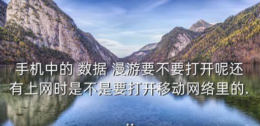 手機中的 數(shù)據(jù) 漫游要不要打開呢還有上網(wǎng)時是不是要打開移動網(wǎng)絡里的...