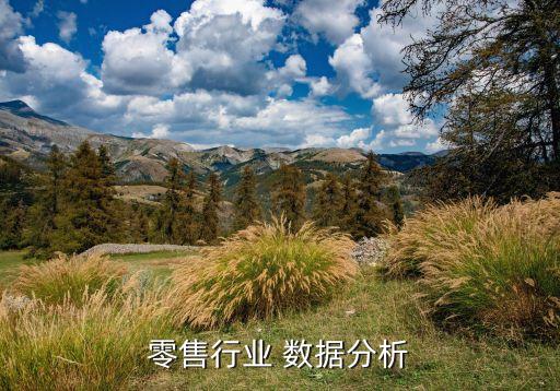 數(shù)據(jù)挖掘項(xiàng)目