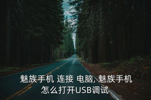  魅族手機(jī) 連接 電腦, 魅族手機(jī)怎么打開USB調(diào)試
