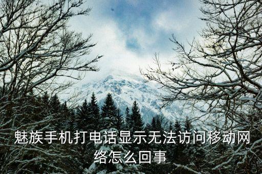  魅族手機(jī)打電話(huà)顯示無(wú)法訪(fǎng)問(wèn)移動(dòng)網(wǎng)絡(luò)怎么回事
