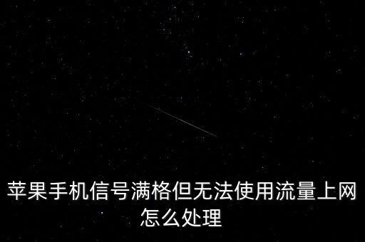 蘋果手機信號滿格但無法使用流量上網(wǎng)怎么處理