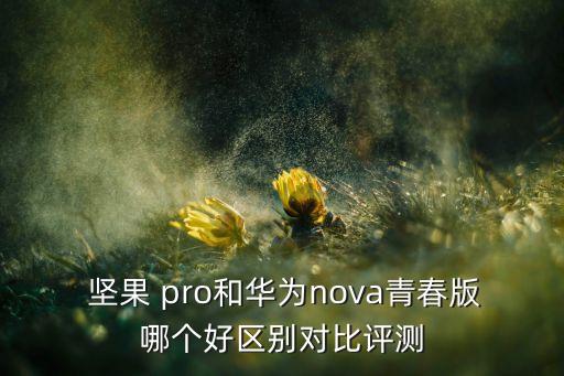 堅果pro 數據線 開箱