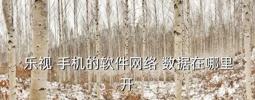  樂(lè)視 手機(jī)的軟件網(wǎng)絡(luò) 數(shù)據(jù)在哪里開(kāi)
