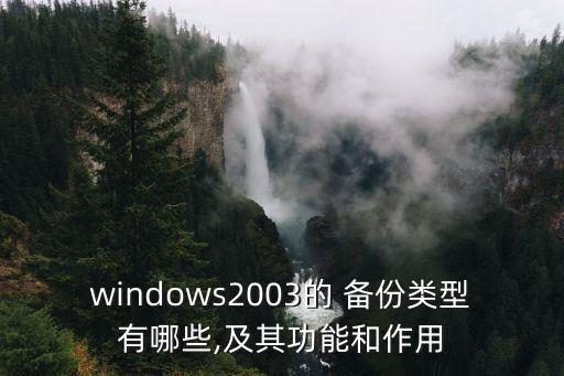 windows2003的 備份類型有哪些,及其功能和作用