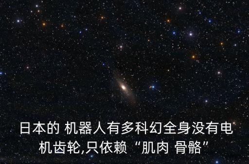 日本機(jī)器人應(yīng)用
