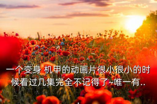 裁判機(jī)器人 機(jī)甲,大疆機(jī)器人機(jī)甲大師