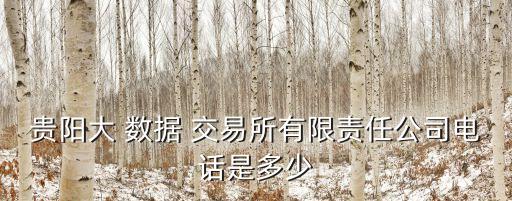貴陽大 數(shù)據(jù) 交易所有限責(zé)任公司電話是多少