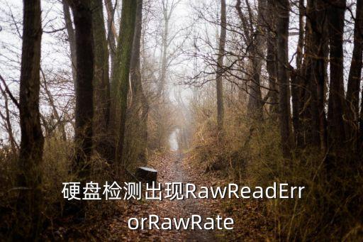  硬盤(pán)檢測(cè)出現(xiàn)RawReadErrorRawRate