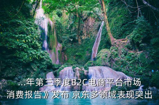 ...年第三季度B2C電商平臺(tái)市場(chǎng)消費(fèi)報(bào)告》發(fā)布 京東多領(lǐng)域表現(xiàn)突出