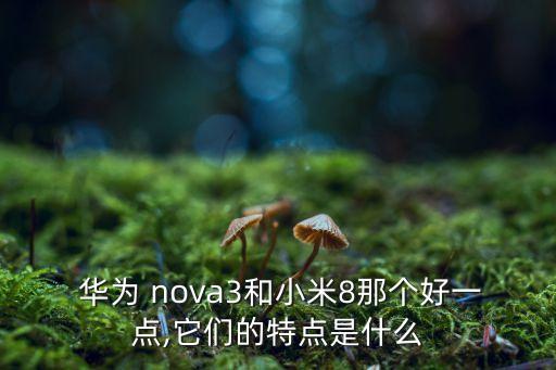  華為 nova3和小米8那個好一點,它們的特點是什么