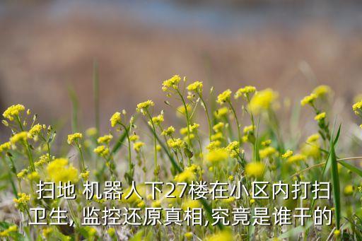  掃地 機(jī)器人下27樓在小區(qū)內(nèi)打掃衛(wèi)生, 監(jiān)控還原真相,究竟是誰(shuí)干的