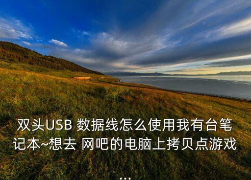 網(wǎng)吧視頻數(shù)據(jù)線圖片,網(wǎng)吧數(shù)據(jù)線為什么不能充電