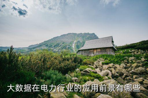 大數據在電力行業(yè)的應用前景有哪些