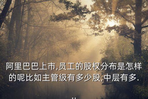 阿里巴巴上市,員工的股權(quán)分布是怎樣的呢比如主管級(jí)有多少股,中層有多...