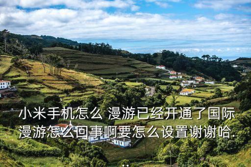 小米漫游數(shù)據(jù)在哪里,小米11數(shù)據(jù)漫游在哪里打開(kāi)