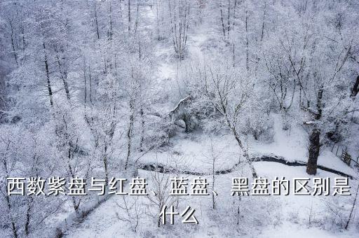 西部數(shù)據(jù)2017第四季度,2017年第四季度各月全國進口藥品