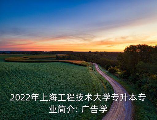 2022年上海工程技術(shù)大學(xué)專升本專業(yè)簡介: 廣告學(xué)