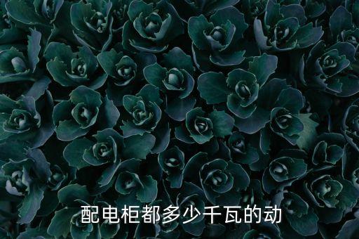  配電柜都多少千瓦的動