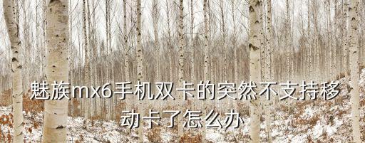 魅族mx6手機(jī)雙卡的突然不支持移動(dòng)卡了怎么辦