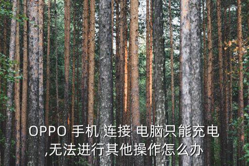 OPPO 手機 連接 電腦只能充電,無法進行其他操作怎么辦