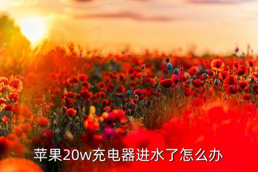 蘋果20w充電器進(jìn)水了怎么辦