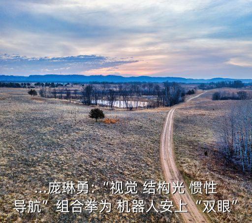 ...龐琳勇:“視覺 結(jié)構(gòu)光 慣性導航”組合拳為 機器人安上“雙眼”
