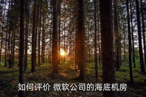 如何評價 微軟公司的海底機(jī)房