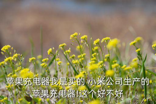 小米 apple數(shù)據(jù)線,小米10原裝數(shù)據(jù)線是幾A的
