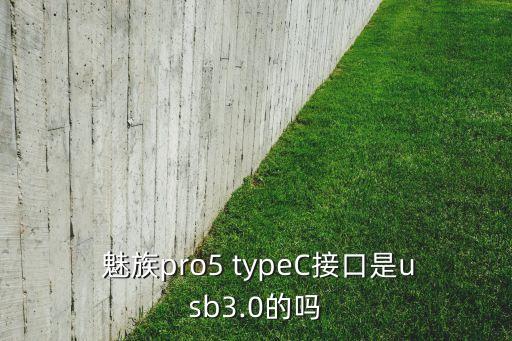 魅族原裝數(shù)據(jù)線type-c