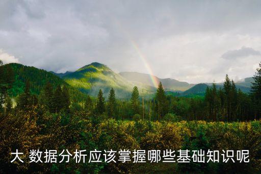 大 數(shù)據(jù)分析應(yīng)該掌握哪些基礎(chǔ)知識呢