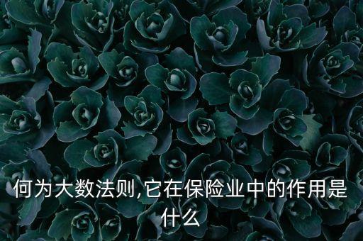 何為大數(shù)法則,它在保險業(yè)中的作用是什么