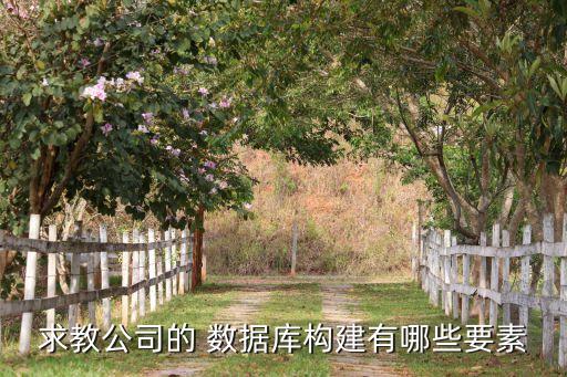 求教公司的 數(shù)據(jù)庫構(gòu)建有哪些要素