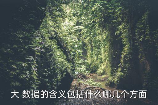 大 數(shù)據(jù)的含義包括什么哪幾個(gè)方面