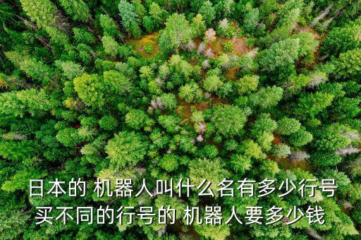  日本的 機(jī)器人叫什么名有多少行號(hào)買(mǎi)不同的行號(hào)的 機(jī)器人要多少錢(qián)