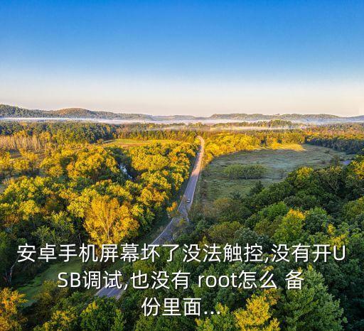 不能root怎么備份數(shù)據(jù),root需要備份數(shù)據(jù)嗎