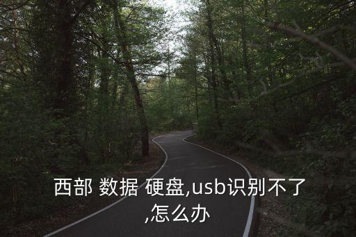  西部 數(shù)據(jù) 硬盤,usb識別不了,怎么辦