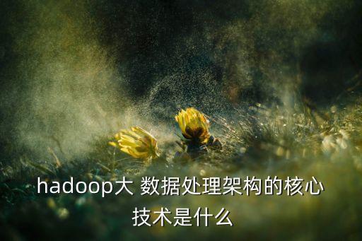 大數(shù)據(jù)處理技術(shù)