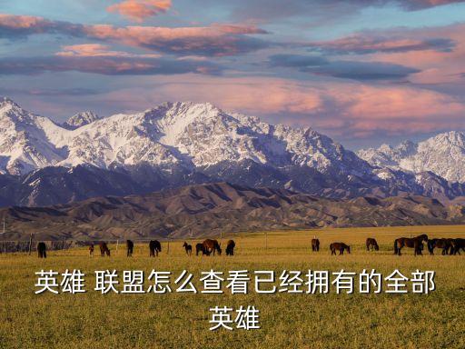 英雄聯(lián)盟游戲中顯示英雄數(shù)據(jù)