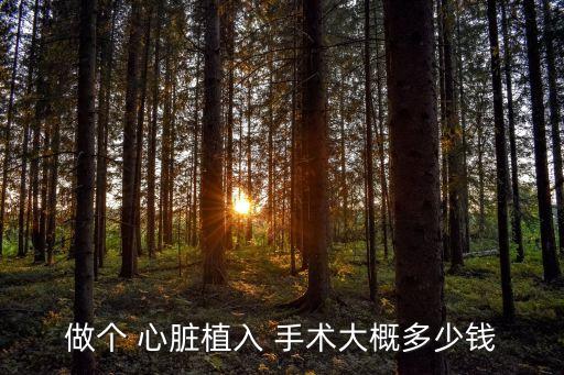 做個(gè) 心臟植入 手術(shù)大概多少錢(qián)