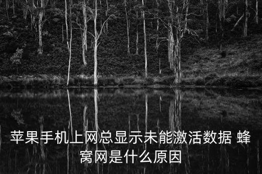 iphone 4s 蜂窩數(shù)據(jù)未激活 聯(lián)通 weiphone