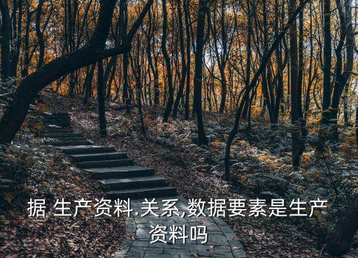 大數(shù)據(jù) 生產(chǎn)資料.關系,數(shù)據(jù)要素是生產(chǎn)資料嗎