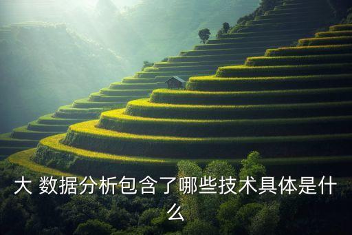 大 數(shù)據(jù)分析包含了哪些技術(shù)具體是什么
