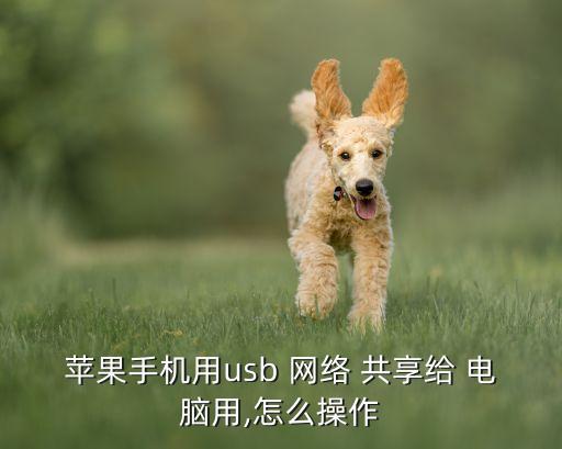 數(shù)據(jù)線共享電腦的網(wǎng)絡(luò),iphone怎么用數(shù)據(jù)線給電腦共享網(wǎng)絡(luò)