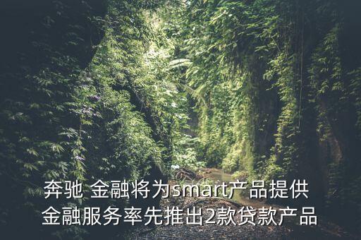 奔馳 金融將為smart產(chǎn)品提供 金融服務(wù)率先推出2款貸款產(chǎn)品