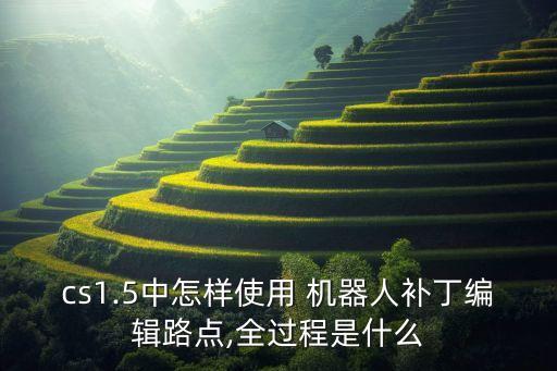 做路位機器人,機器人和誰搭配下路