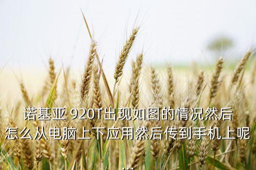 lumia 920 傳輸我的數(shù)據(jù)