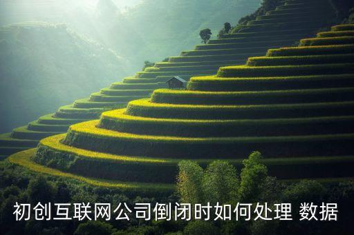 初創(chuàng)互聯(lián)網(wǎng)公司倒閉時(shí)如何處理 數(shù)據(jù)