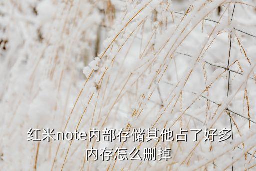  紅米note內(nèi)部存儲其他占了好多內(nèi)存怎么刪掉