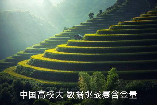 中國高校大 數(shù)據(jù)挑戰(zhàn)賽含金量