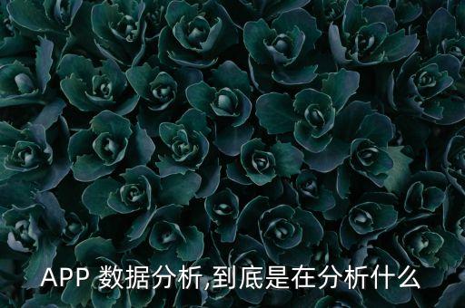 APP 數(shù)據(jù)分析,到底是在分析什么
